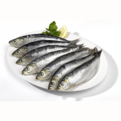 32009 Sardinhas / Sardientjes Extra Zak Bevroren 850 Gr