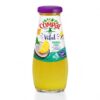 Compal Ananas / Coco Flesje 200 Ml