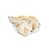 Frijobel Caras De Bacalhau Cong. +/- 1 Kg  LET OP PRIJS IS PER KG      U KOOPT EEN KG !!!!!!