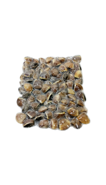 Amêijoa Castanhas 60-80 Cong. Saco 1 Kg