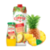 Compal Ananas Nectar 1 L