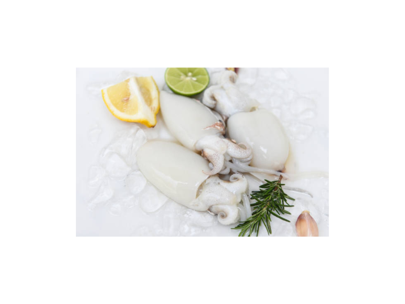 Choco Limpo / Schoongemaakte Inktvis in Zak Bevroren 850 Gr