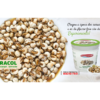 Caracol Balde Cong. 1 Kg