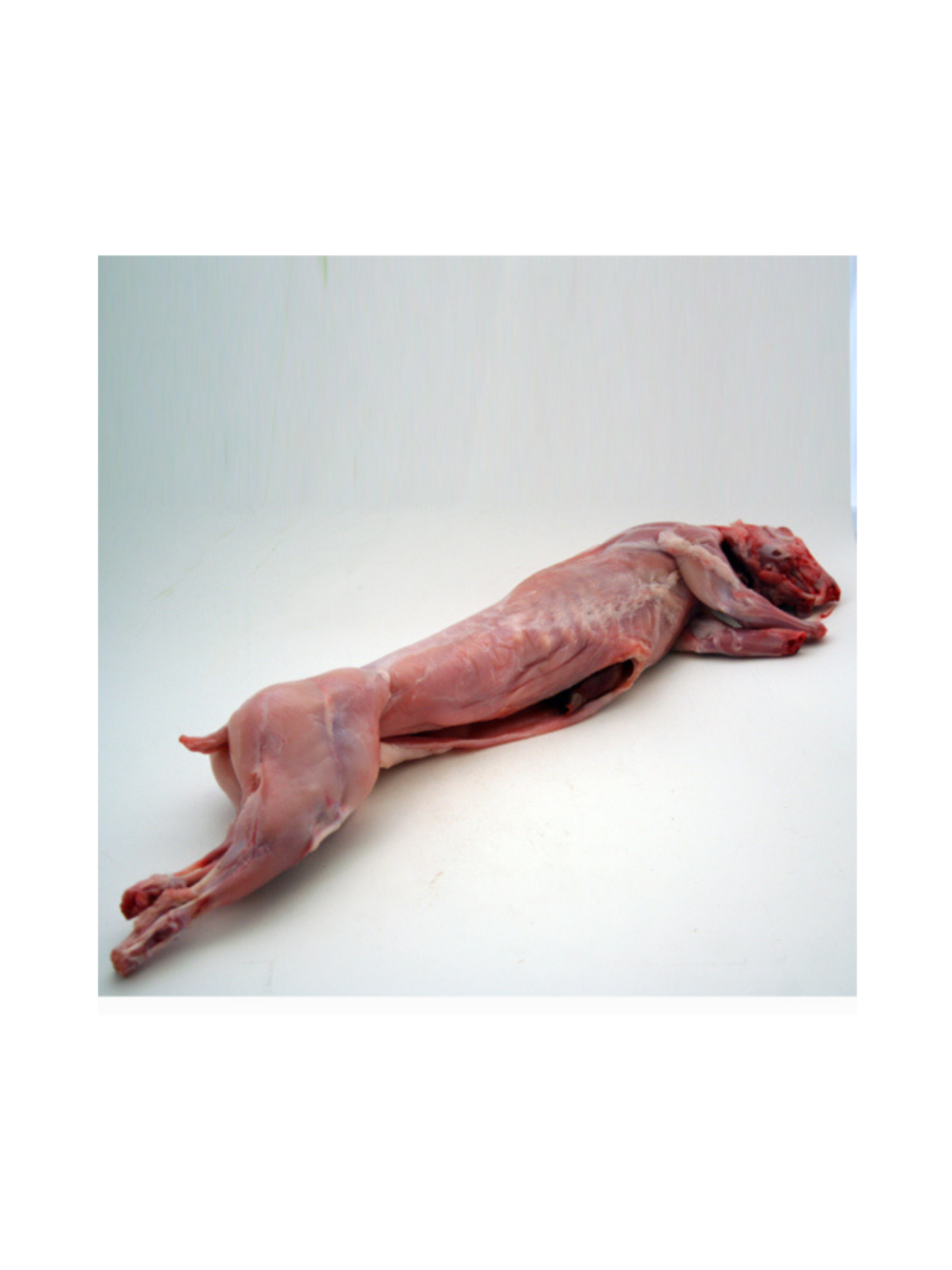 Coelho Konijn Heel Bevroren +/- 1,4 kg