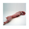 Coelho Konijn Heel Bevroren +/- 1,4 kg