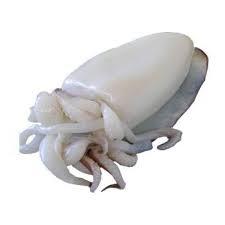 Choco Limpo / Schoongemaakte Inktvis in Zak Bevroren 850 Gr