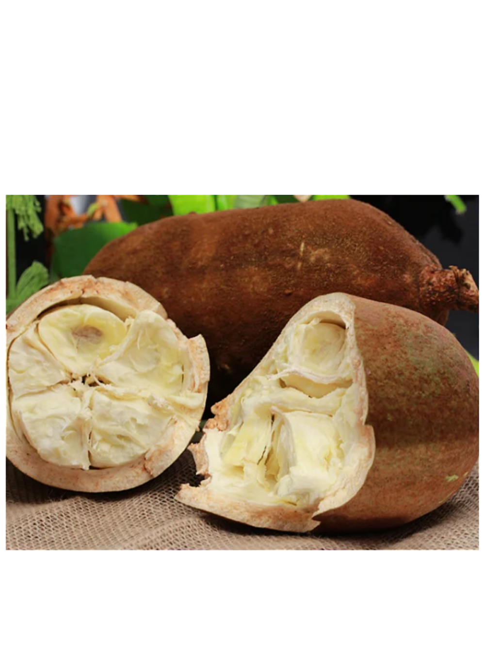 Cupuaçu Polpa Pura Premium 1kg