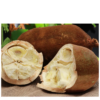 Cupuaçu Polpa Pura Premium 1kg